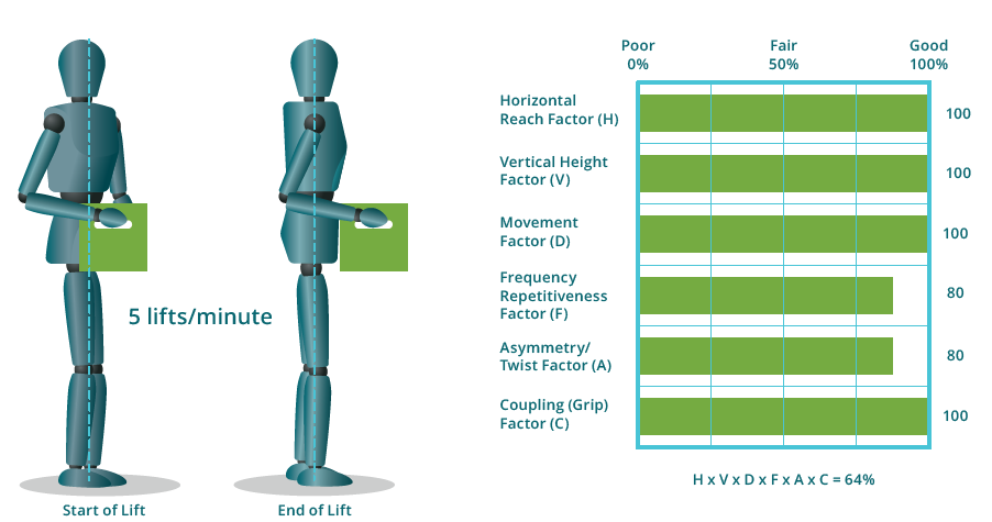 mannequin showing how repetition affects the recommended loads using the niosh lifting equation