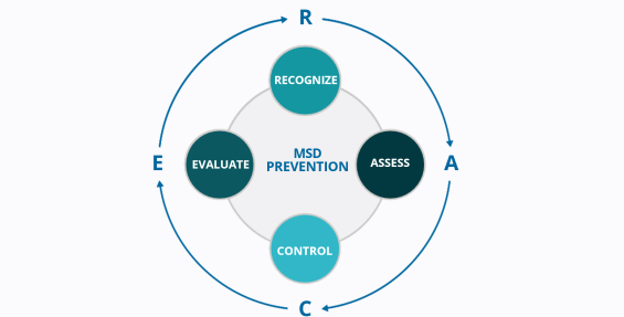 RACE diagram showing the recognize, assess, control, evaluate cycle with MSD prevention in the middle