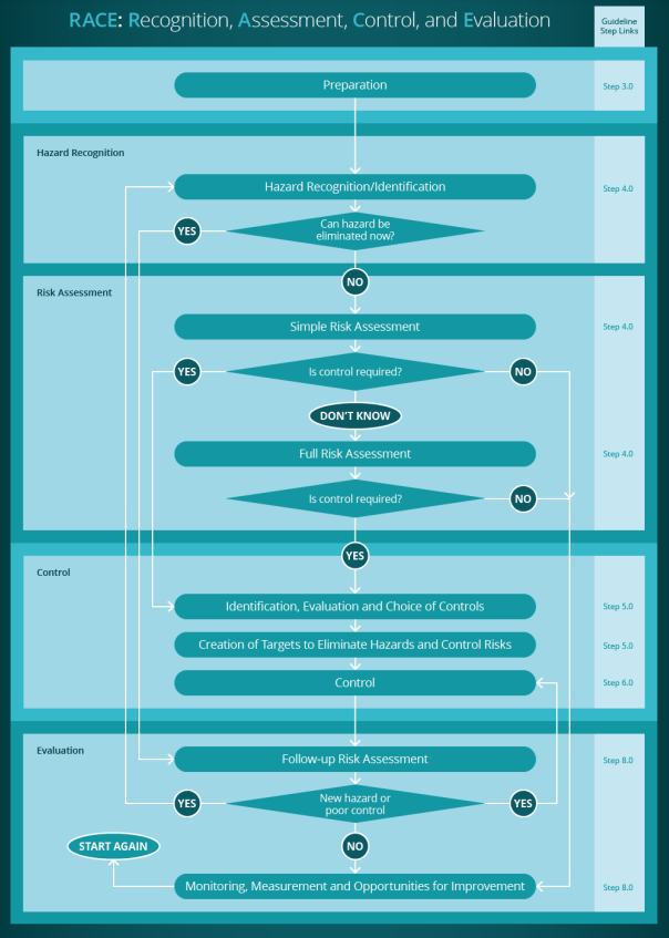 RACE diagram showing the recognize, assess, control, evaluate steps