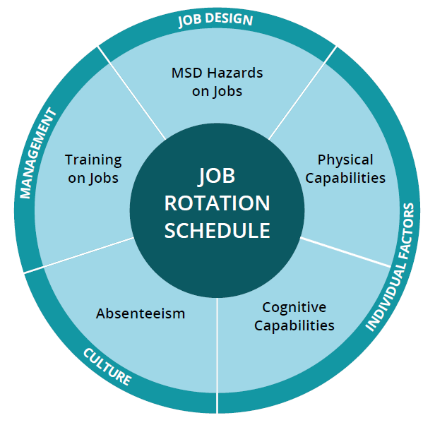 job rotation schedule diagram
