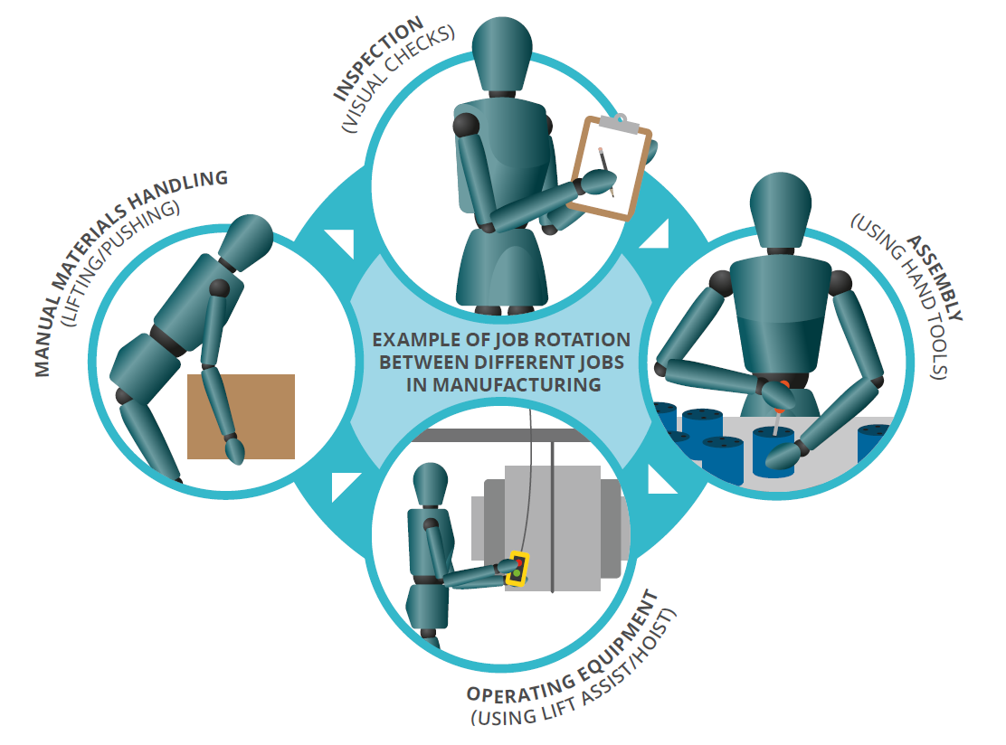 example of job rotation between different jobs