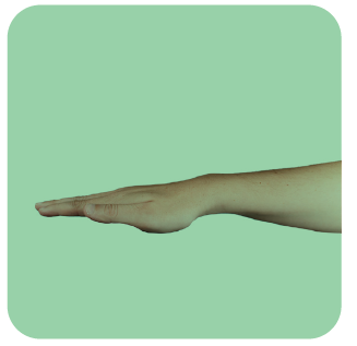 natural position of the hand with straight fingers