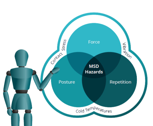 mannequin with MSD hazards no background
