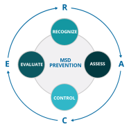 RACE diagram showing the recognize, assess, control, evaluate cycle with MSD prevention in the middle