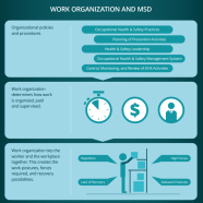 Work organization and msd thumbnail