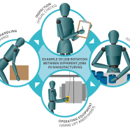 example of job rotation between different jobs