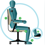 mannequin sitting in a chair with a back rest, arm support, space between the back of their knee and the chair, and feet flat on the floor
