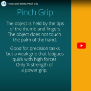 Hands and Wrists Pinch Grip video thumbnail