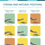 Hands and Wrists Standard Computer Keyboard thumbnail