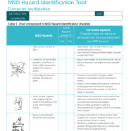 MSD hazard identification tool computer workstation