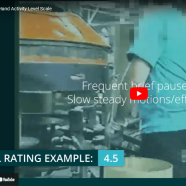 The Hand Activity Level Scale video thumbnail
