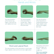 natural positions hands and wrists thumbnail
