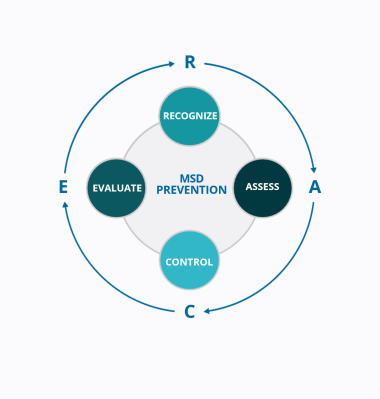 RACE diagram showing the recognize, assess, control, evaluate cycle with MSD prevention in the middle