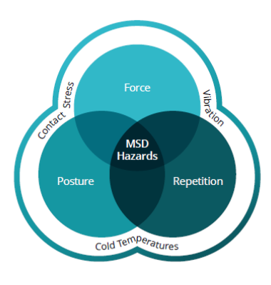 venn diagram showing the msd hazards interacting