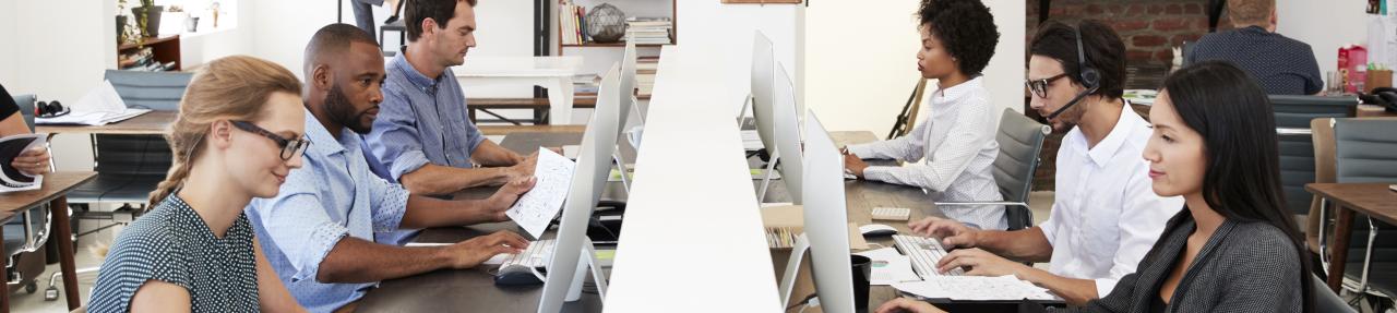 group of office workers sitting at their computers