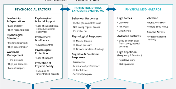 Flow chart from Psychosocial Factors, MSD and Mental Health poster