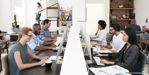 group of office workers sitting at their computers