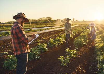 workers in a farmers field 