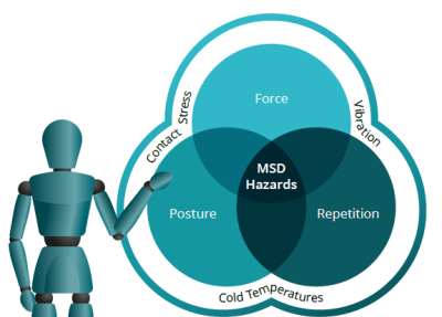 mannequin pointing to msd hazards