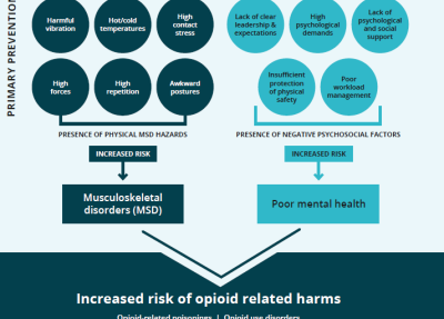opioid poster flow chart
