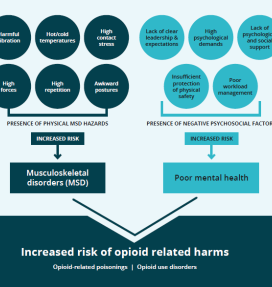 opioid poster flow chart